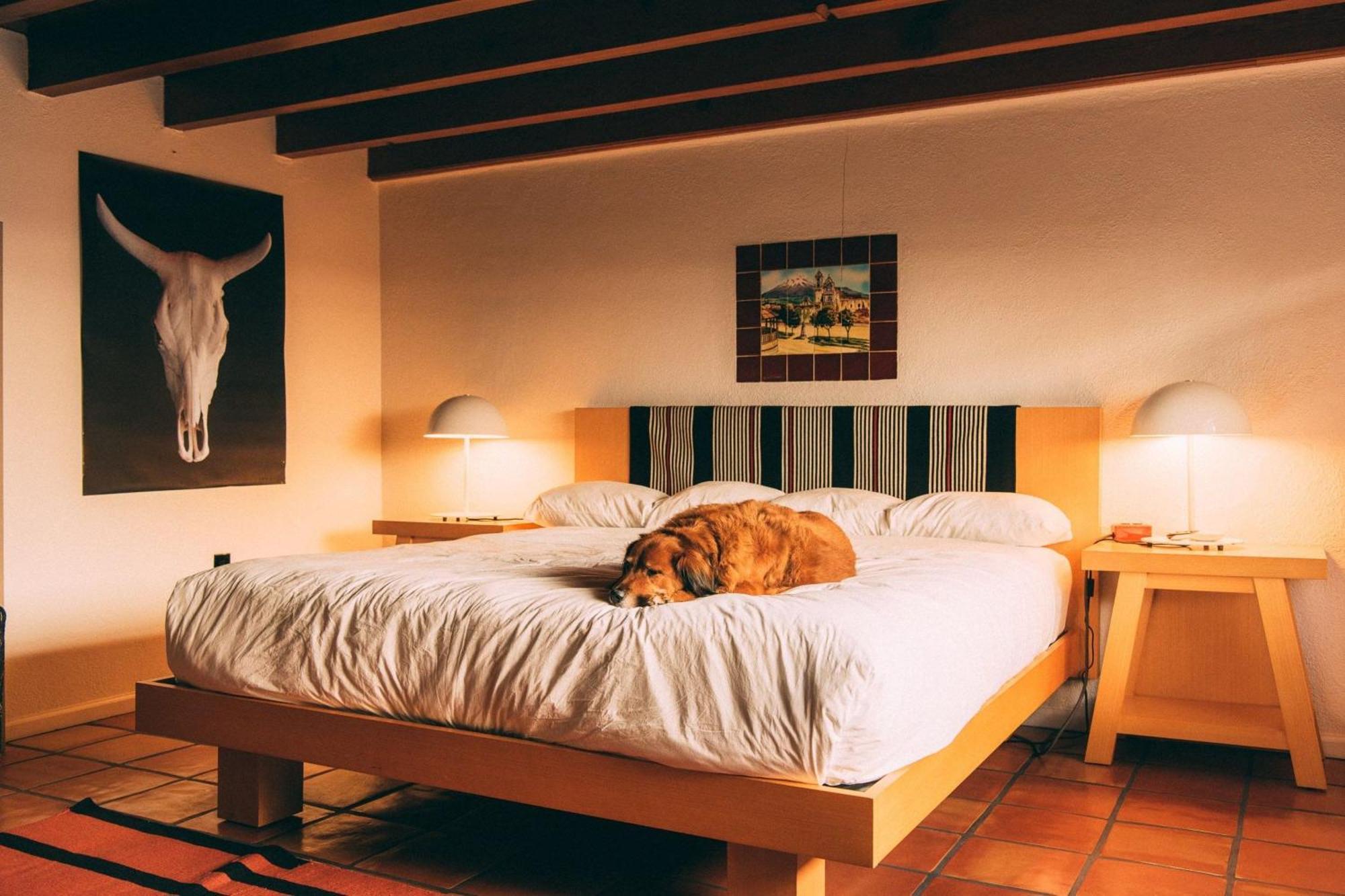El Rey Court Hotel Santa Fe Eksteriør billede